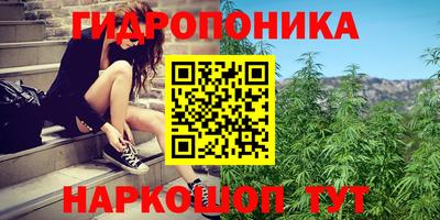 прущие грибы Ипатово