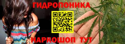 PSILOCYBIN Ирбит